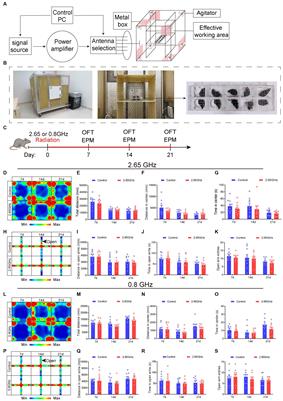 The endocannabinoid system is involved in the anxiety-like behavior induced by dual-frequency 2.65/0.8 GHz electromagnetic radiation in mice